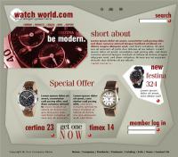 Mall watch display