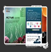 Korea company templates 101